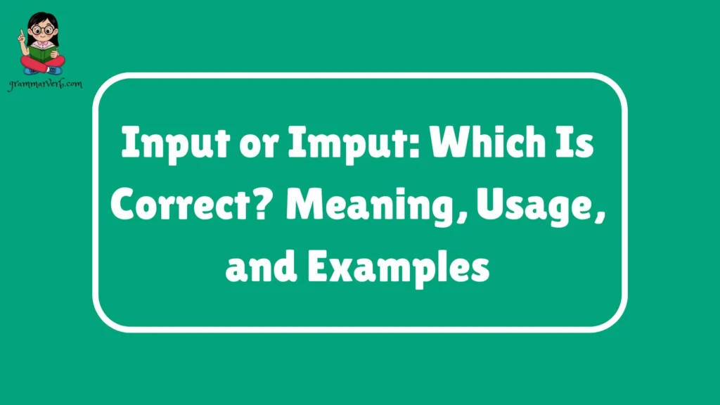 Input or Imput: Which Is Correct? Meaning, Usage, and Examples