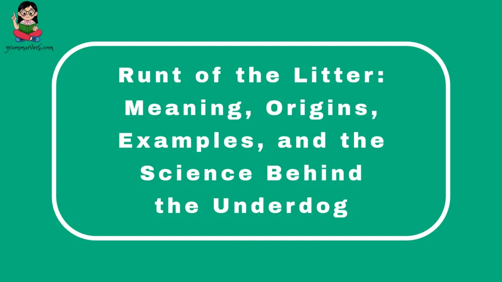 Runt of the Litter: Meaning, Origins, Examples, and the Science Behind the Underdog