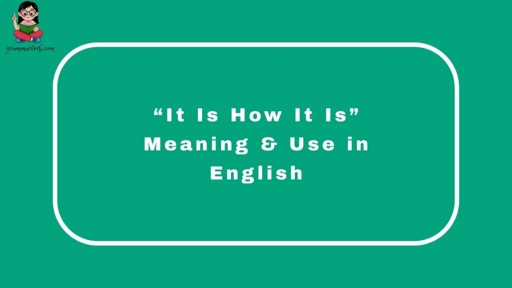 “It Is How It Is” Meaning & Use in English