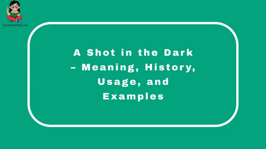 A Shot in the Dark – Meaning, History, Usage, and Examples